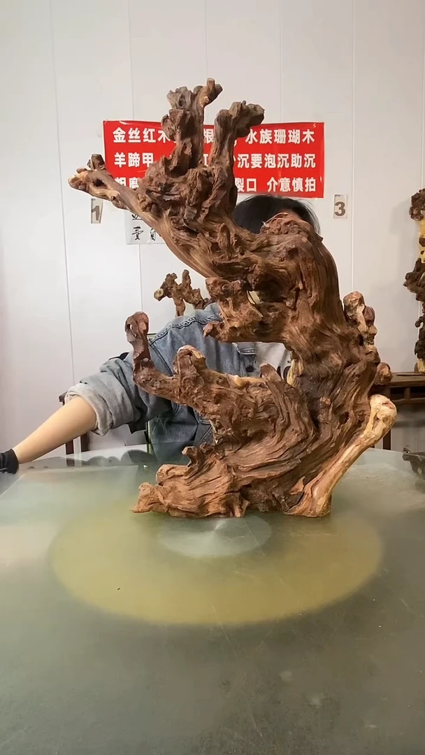 木東*叟金丝红木 羊蹄甲