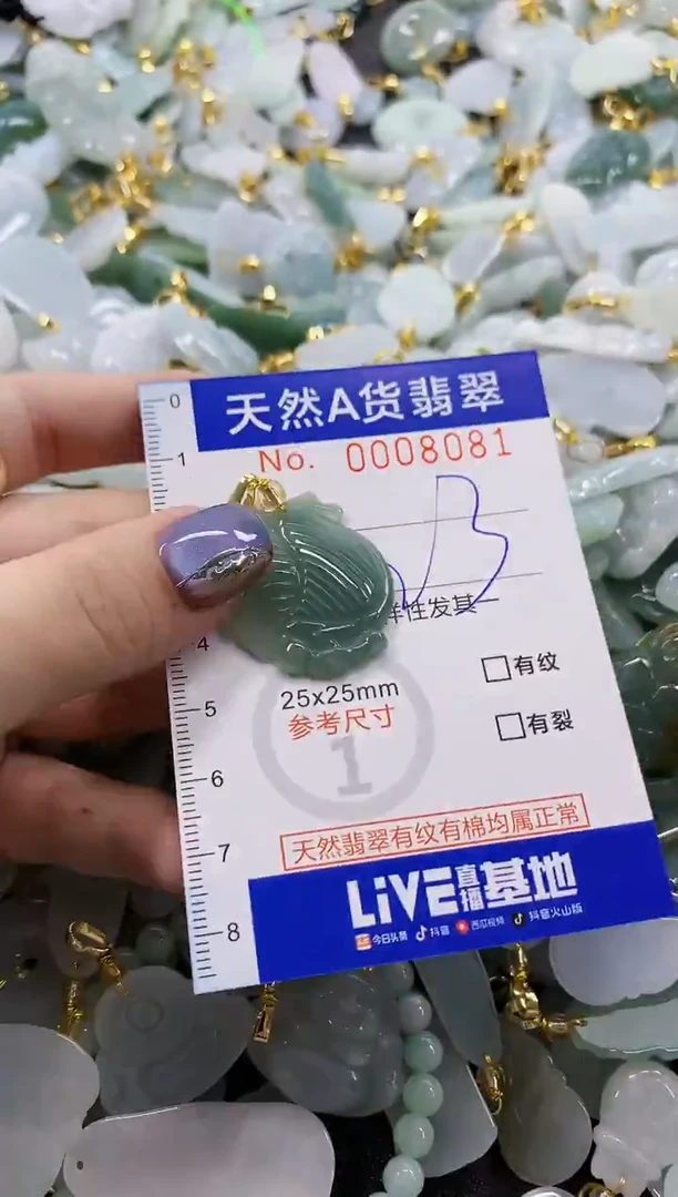 颈饰未镶嵌翡翠天然A货翡翠