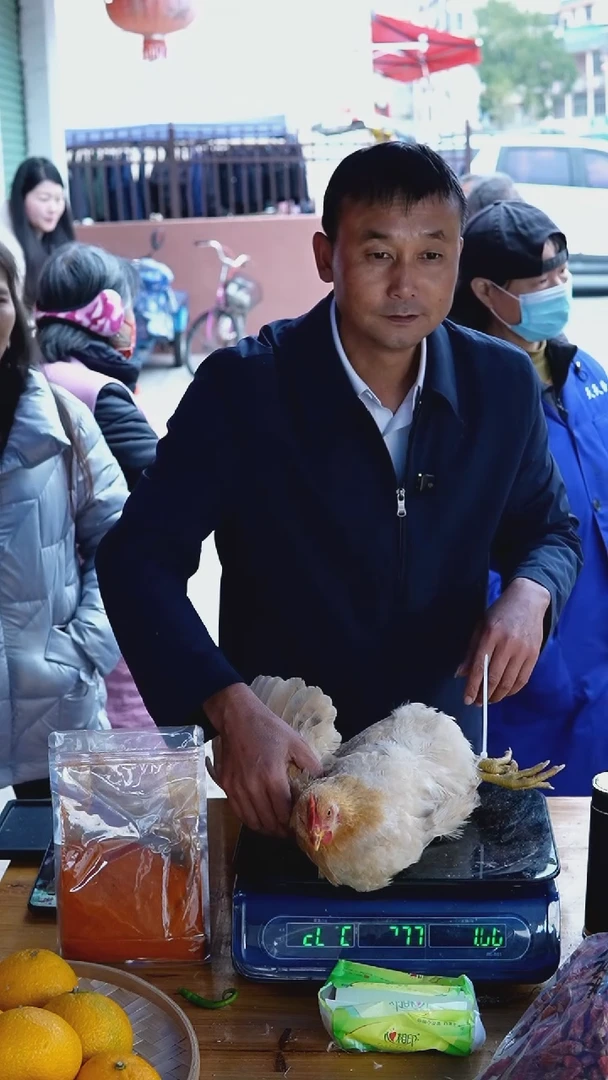 中国大陆童子鸡T03（1.9斤）