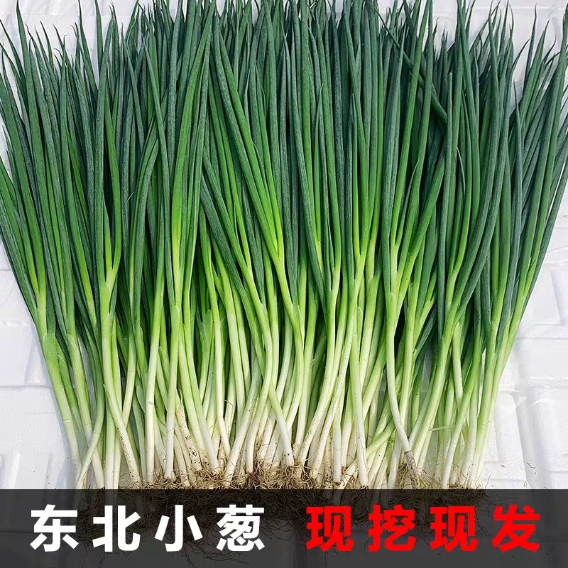 大连神农谷农家味道小葱2斤京东送货上门