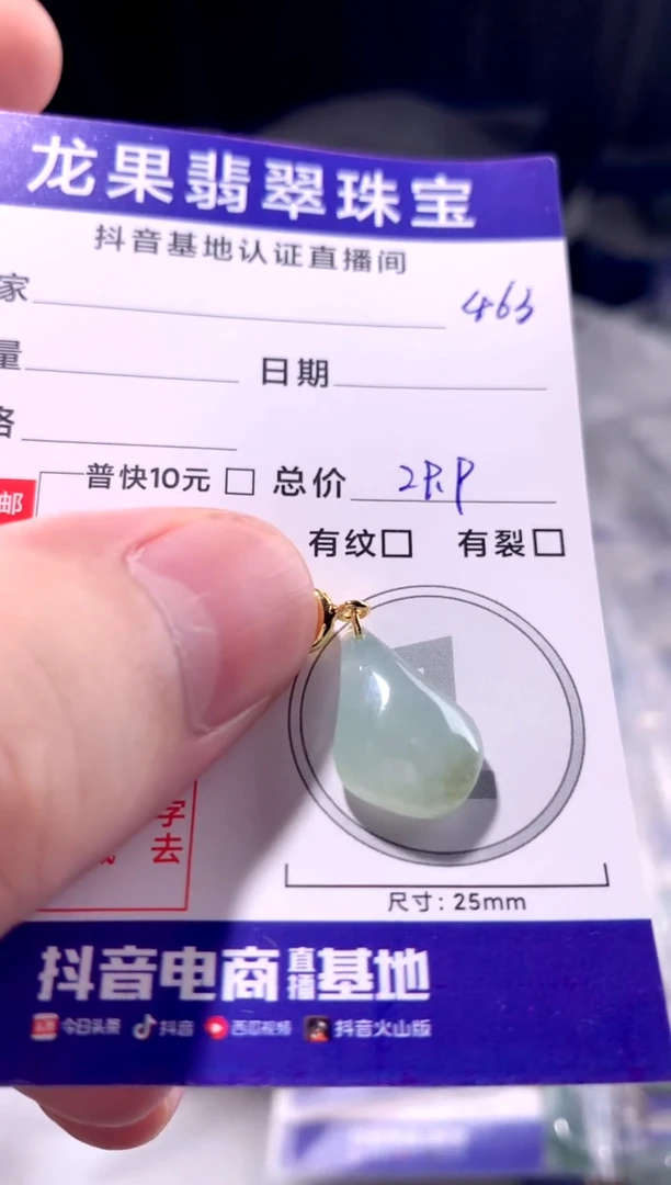 颈饰未镶嵌翡翠立体水滴463