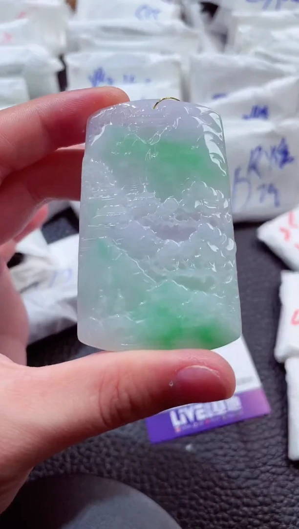 翡翠未镶嵌颈饰00001434