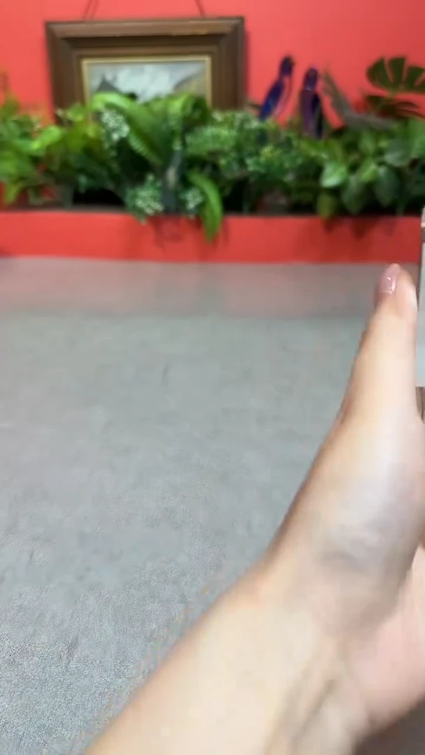 瓷片5杯杯杯杯杯杯杯杯杯杯杯杯杯杯