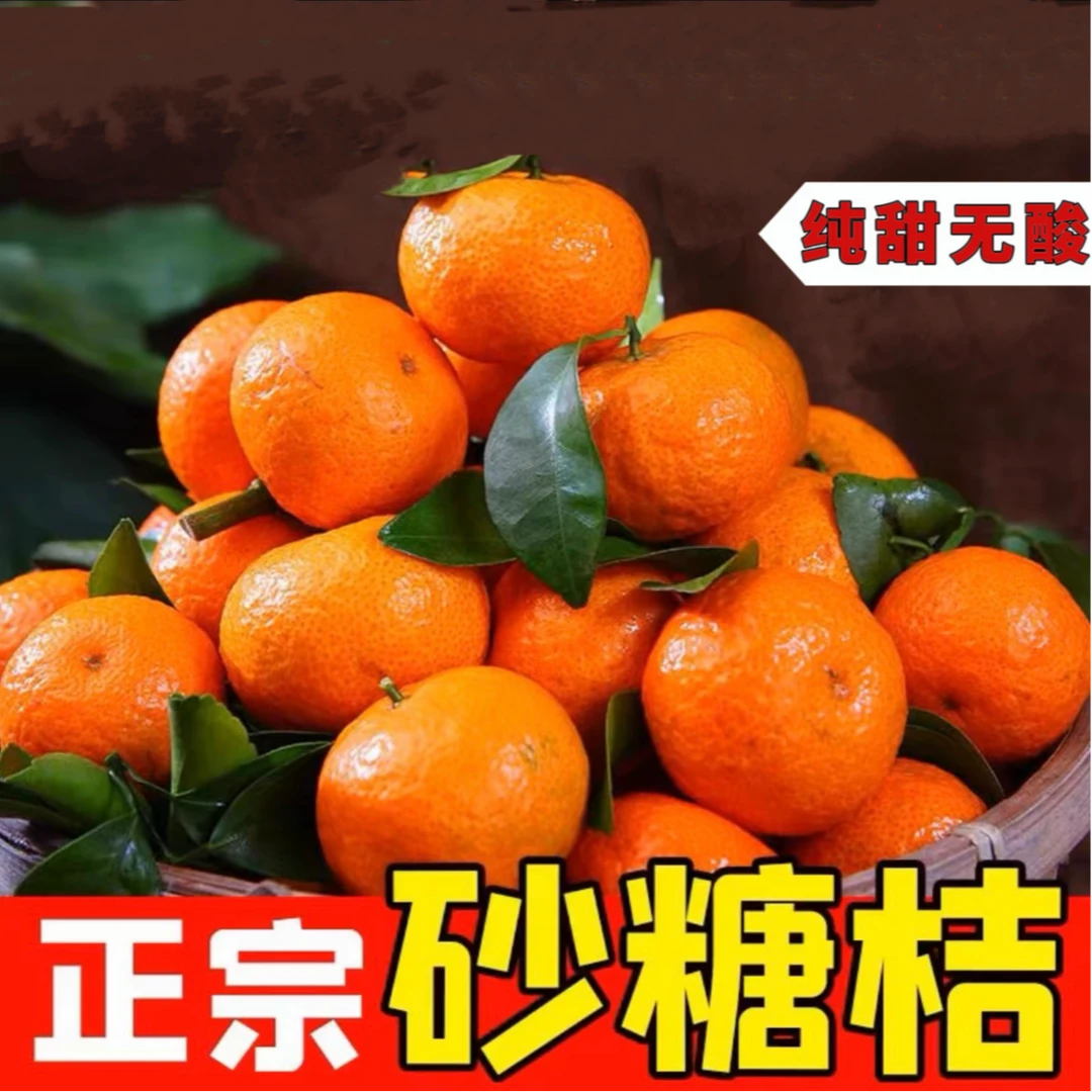 z广西蜜桔砂糖橘