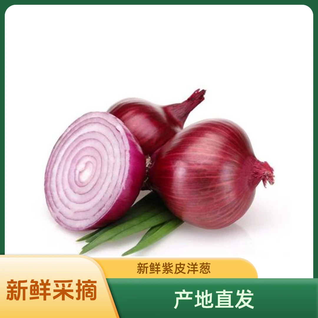 （粉丝福利）山西本地新鲜蔬菜洋葱约350g 现采现发 全店满39.9京东包邮