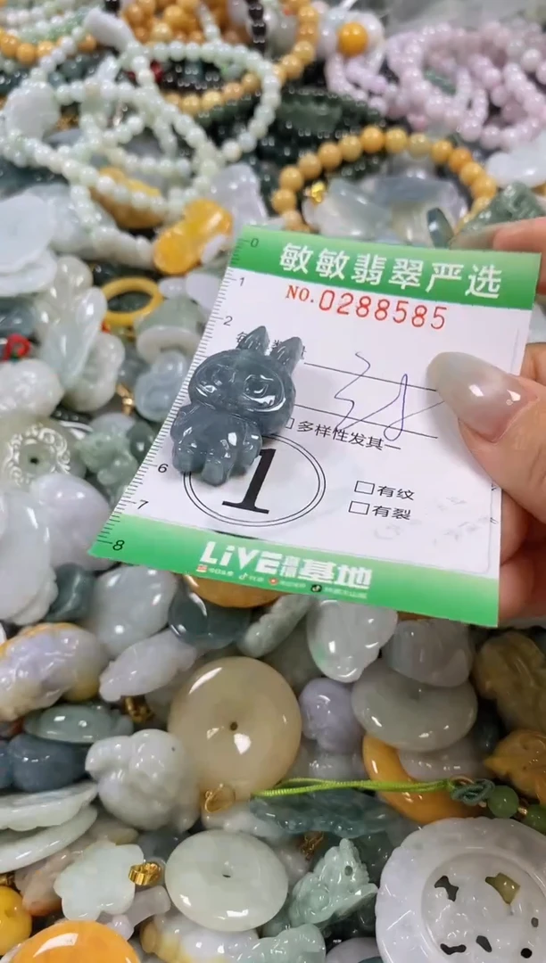 翡翠未镶嵌颈饰闪购0288585