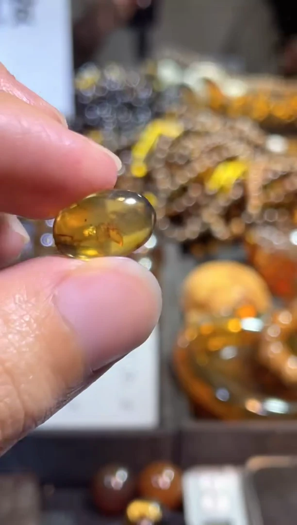 【闪购商品】琥珀裸石未镶嵌蜘蛛 虫珀