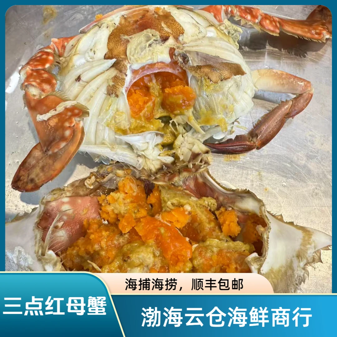 【三点红母蟹】母蟹梭子蟹3两-1斤左右起/只 2-5斤【保鲜不保活】