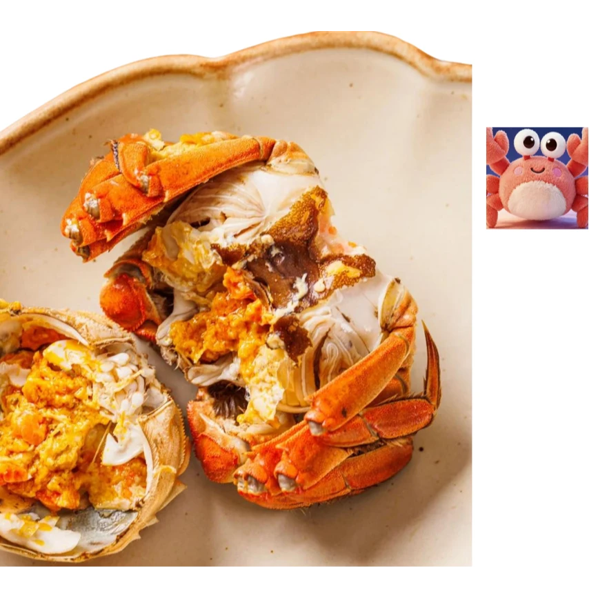 全母蟹宴3.0-2.7两母蟹 拍8只送2只 到手10只 【死蟹包赔】创意顺丰京东空运 江苏产地直发