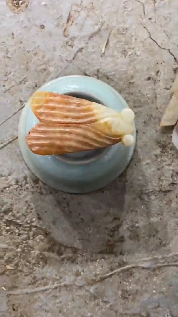 【闪购商品】瓷片手工，手绘，瓷器