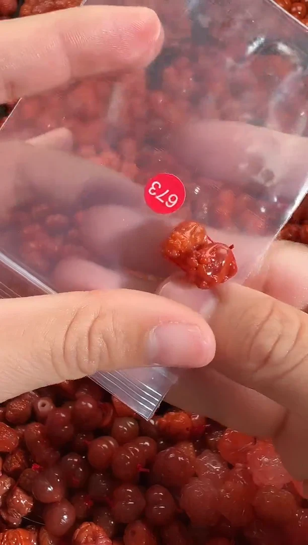 颈饰未镶嵌南红玛瑙A*y1