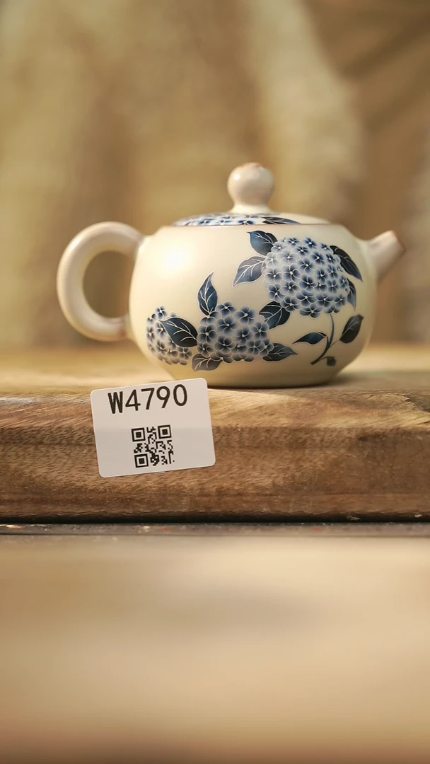 【闪购商品】【经典福利】/ 壶@@W4790