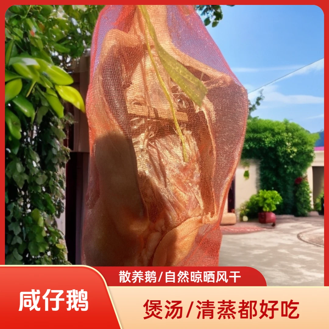 溧阳农家散养一年《咸仔鹅》吃草自然晾晒风干纯手工腌制年货咸鹅