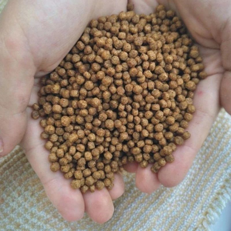 观赏鱼蝴蝶鲤锦鲤金鱼饲料高蛋白漂浮颗粒鱼粮增色不浑水