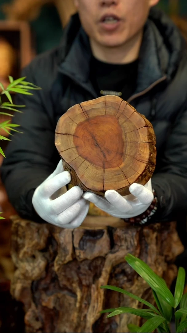 木用****6雷击枣木底座