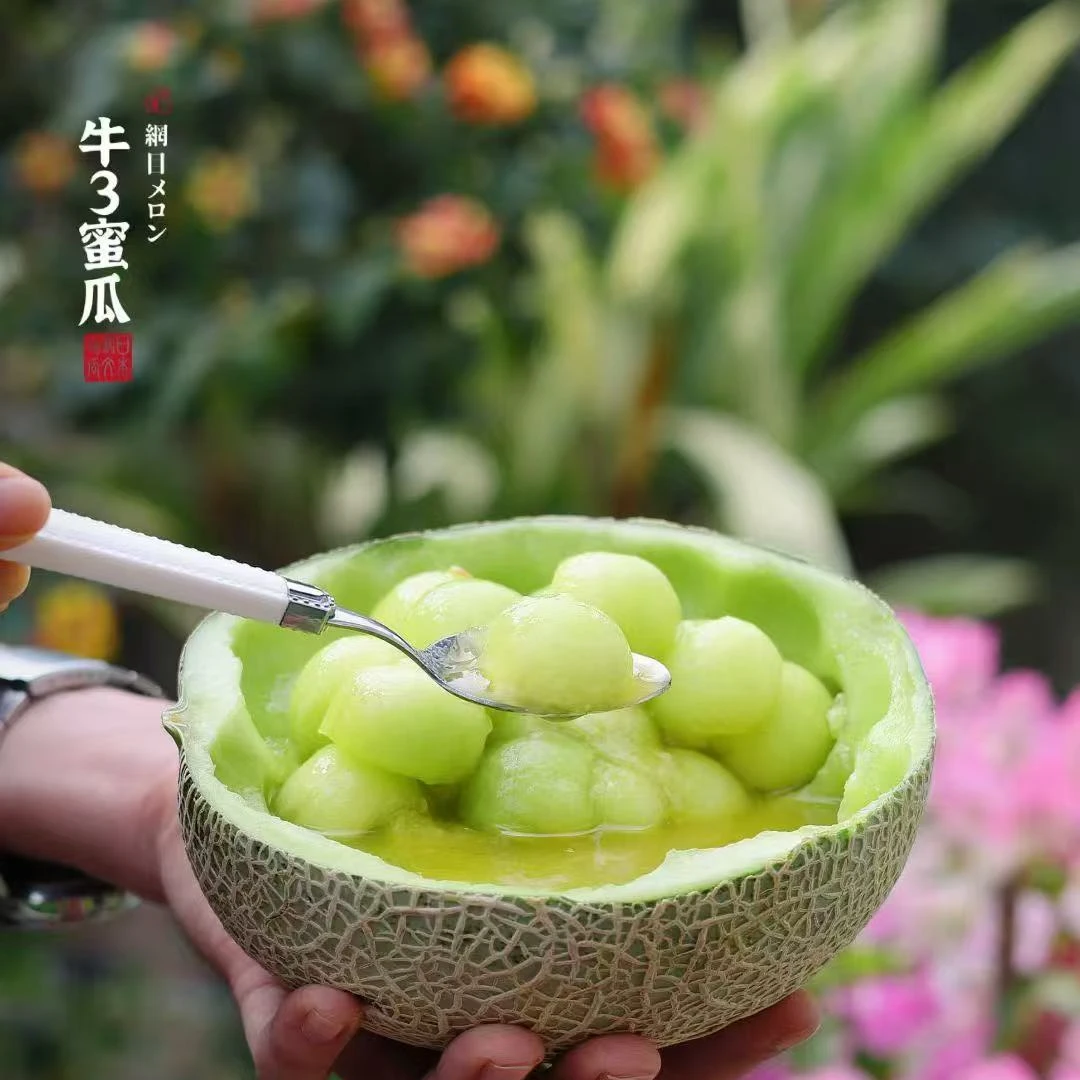 [薯你最甜]海南牛三网纹瓜 树上熟、新鲜采摘、顺丰发货