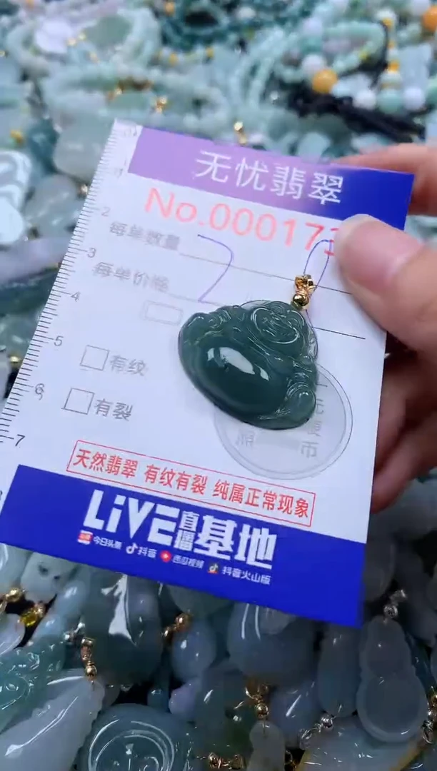 翡翠未镶嵌吊坠(不含链)1731
