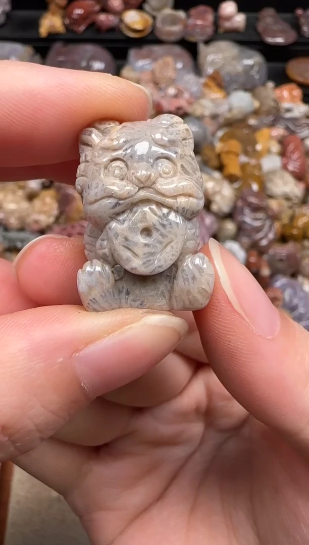 硅化珊瑚（珊瑚玉）未镶嵌颈饰257