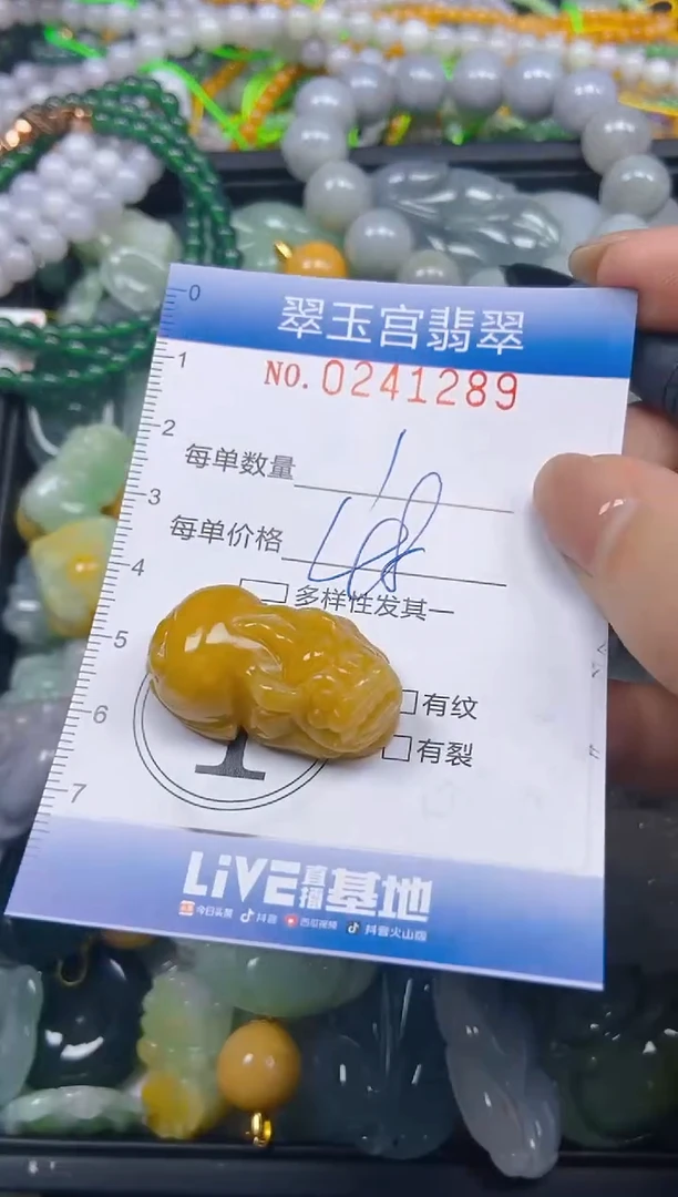 颈饰未镶嵌翡翠闪购C0241289