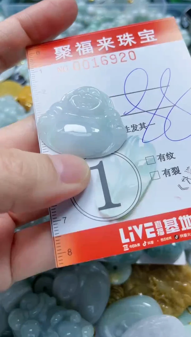 【闪购商品】翡翠颈饰未镶嵌闪购0016920