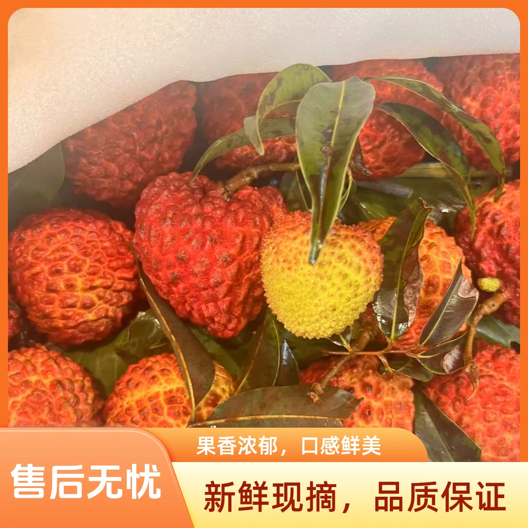 海南永兴荔枝王 一斤海南省