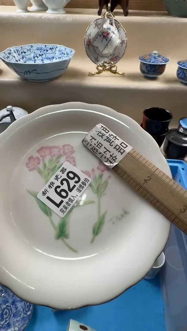 瓷片丹*          L629