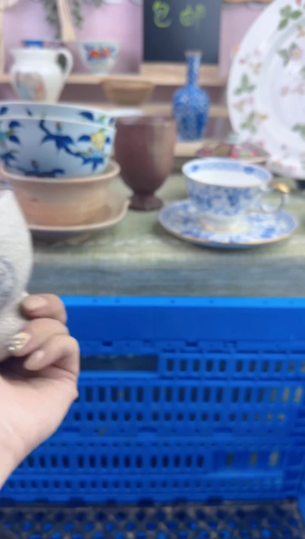 瓷片九*       E559