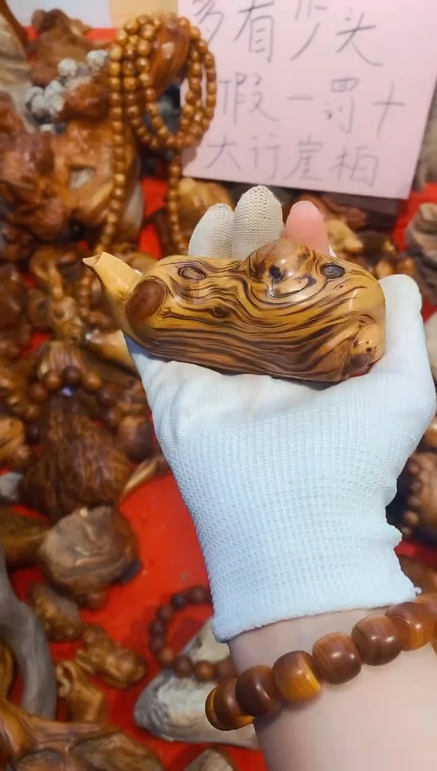 柏木75崖柏崖柏崖柏