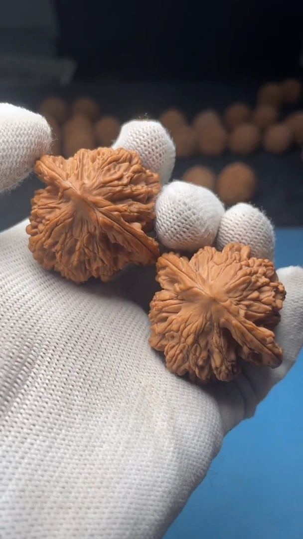 桃核把件a142  虎头 40尺