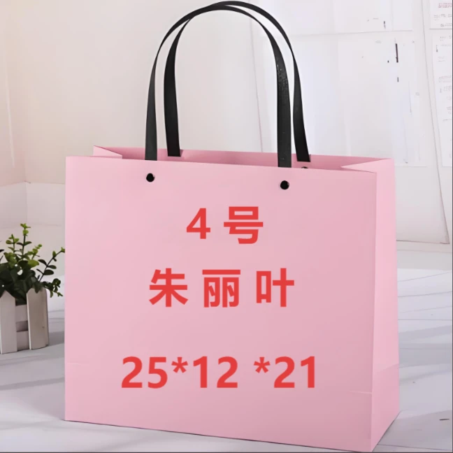 4号百搭风情朱丽叶包包