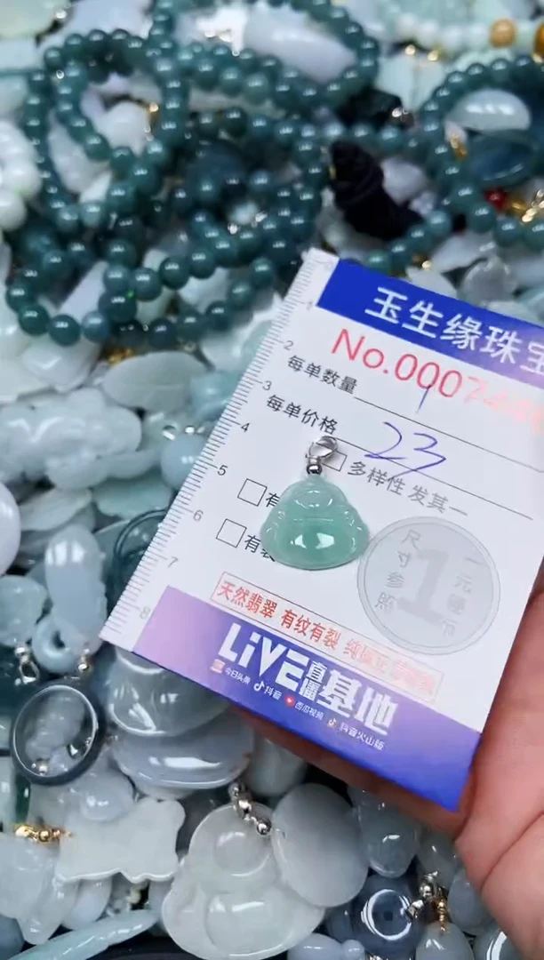 【闪购商品】翡翠颈饰未镶嵌闪购00007446