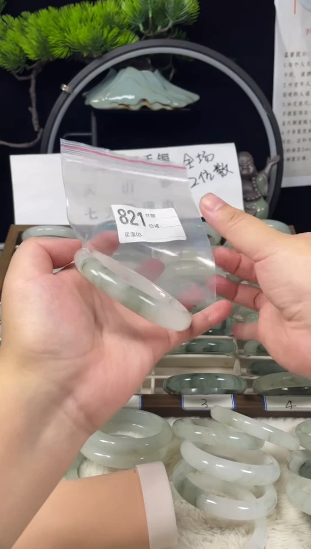 未镶嵌手镯石英质玉（天山翠）821
