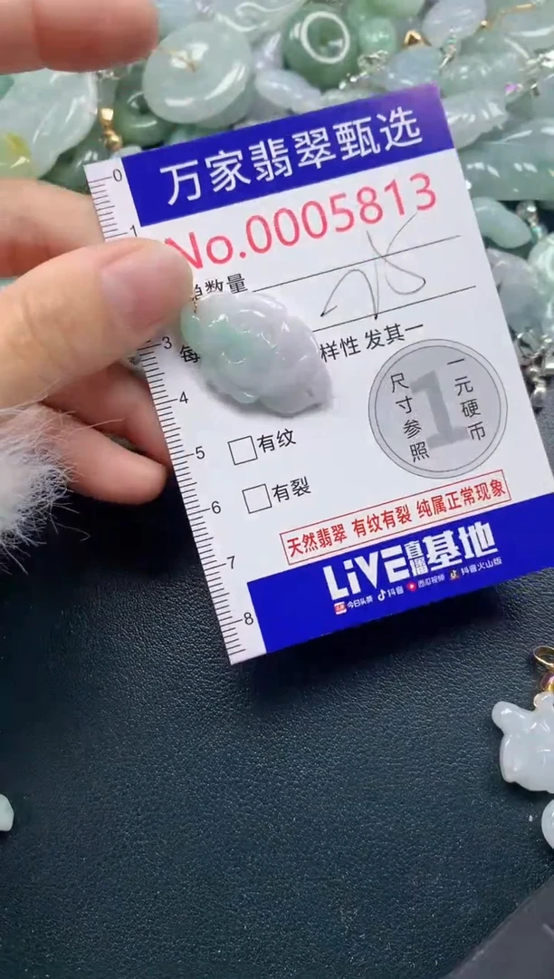 吊坠(不含链)未镶嵌翡翠5813