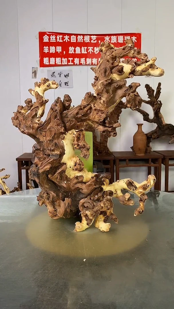 香榧木从*金丝红木 羊蹄甲