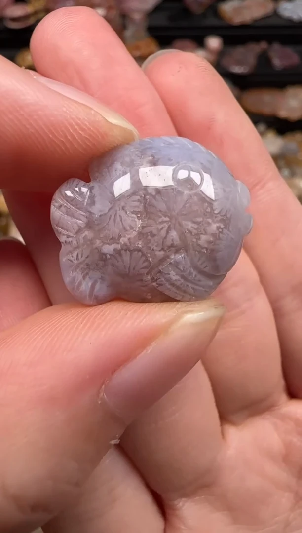 硅化珊瑚（珊瑚玉）未镶嵌颈饰734