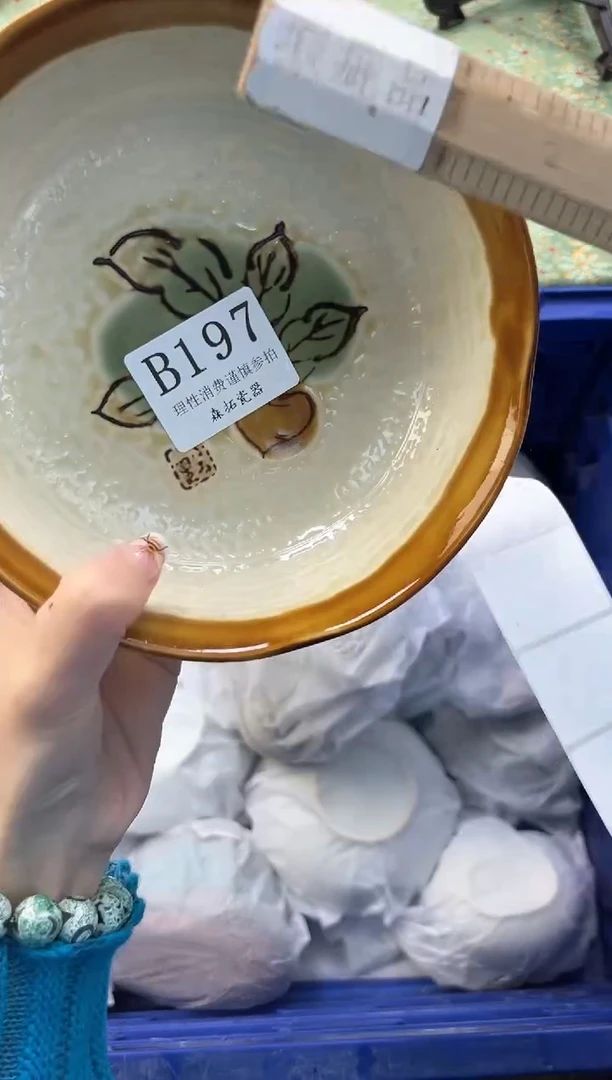 【闪购商品】瓷片          B197