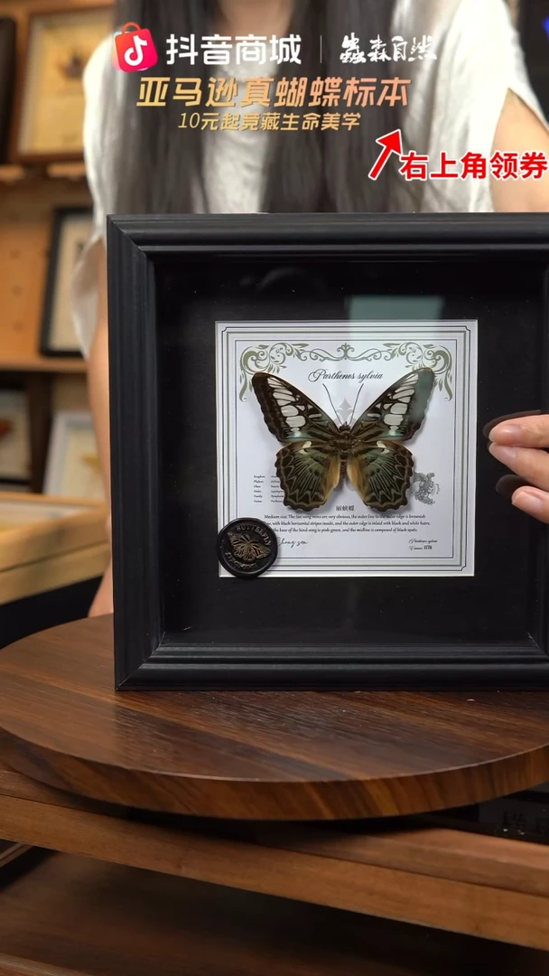 丽蛱蝶盲盒版7寸欧式方框