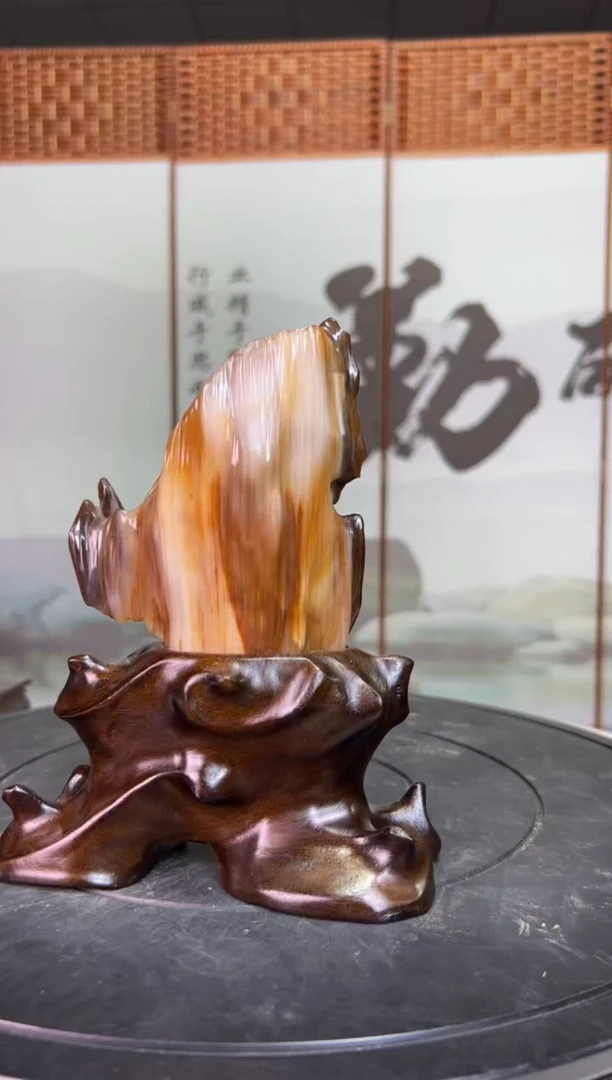 未镶嵌珠宝奇石硅化玉3