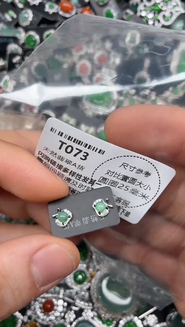 颈饰未镶嵌翡翠T073耳钉