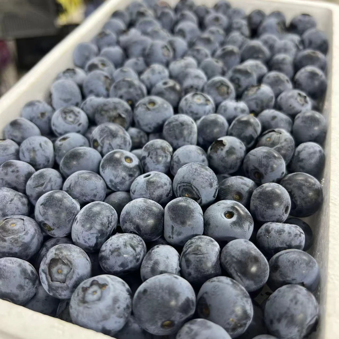 《果立方》丹东L25糖豆蓝莓15mm-18mm运输会稍微影响果粉g新鲜辽宁省