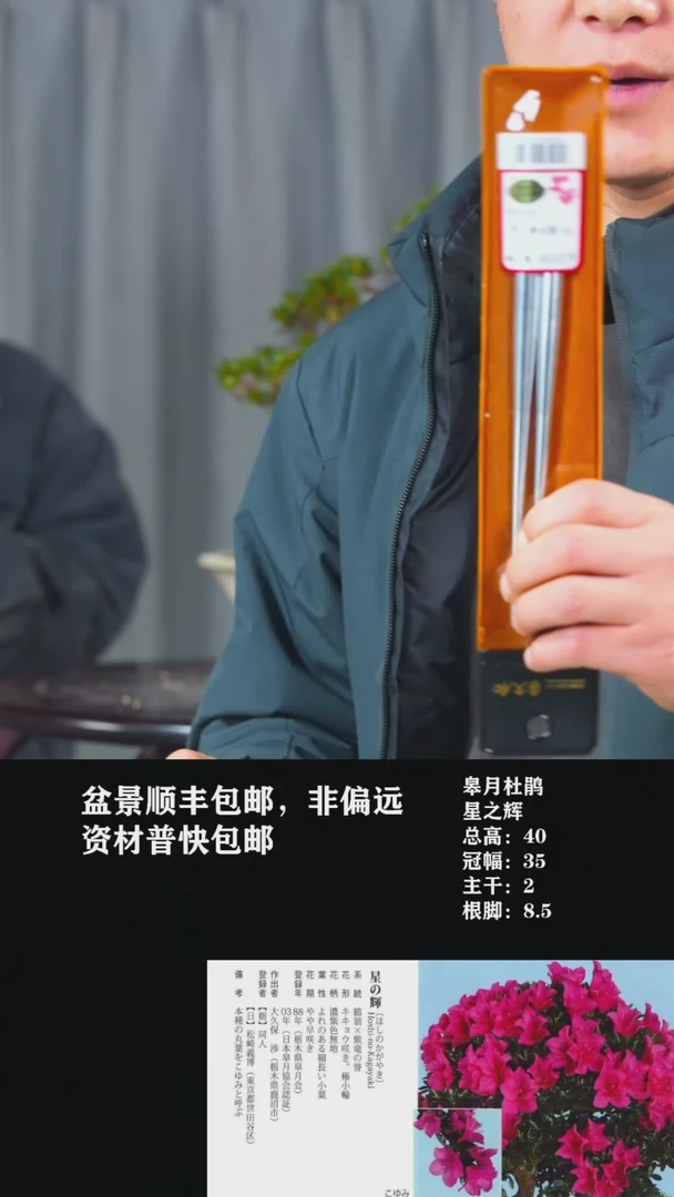 【闪购商品】-喜久合填土棒单根(包装随机)