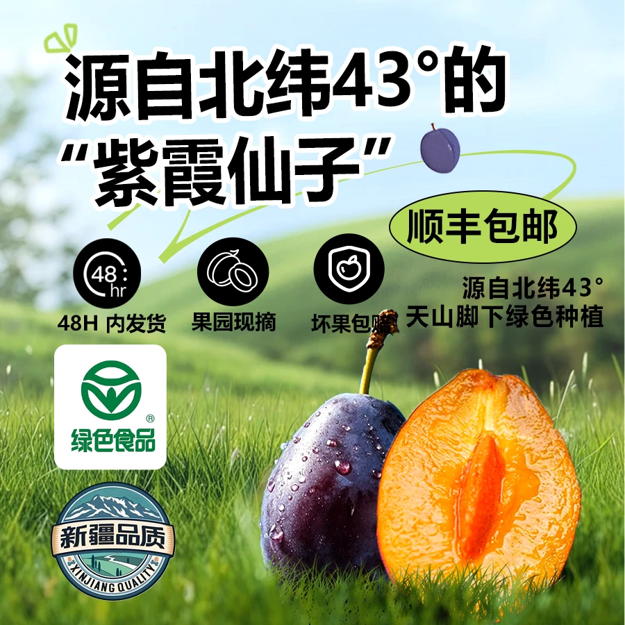 【L】夏天的果园 新疆伊犁绿色食品认证法兰西西梅皮薄肉厚甜蜜可口