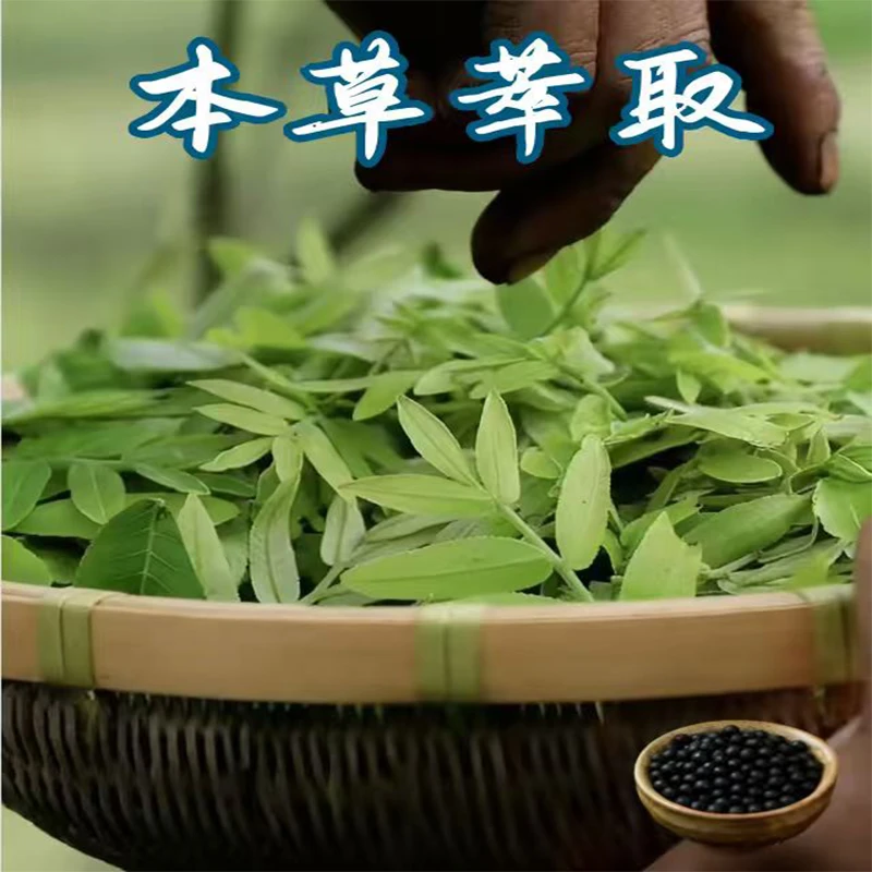 神农桑叶谷 神农桑叶 树神农桑叶