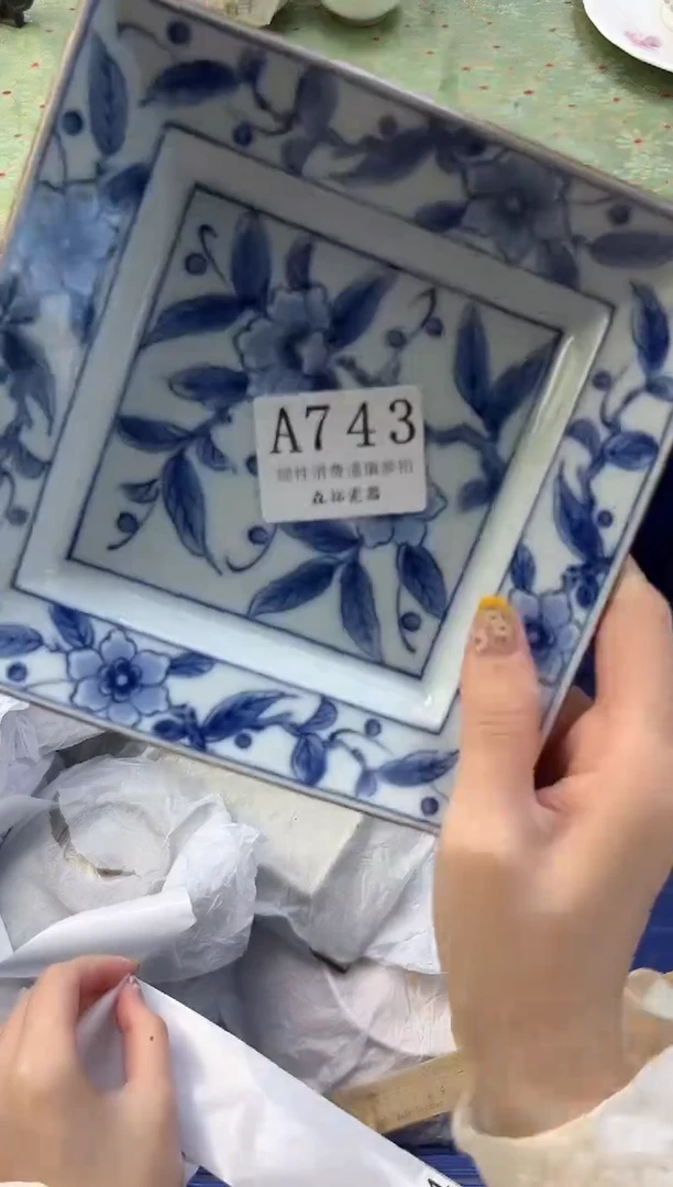 【闪购商品】瓷片          A743