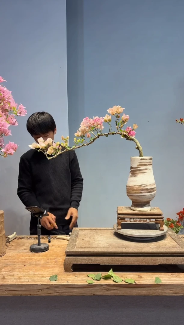 以实际为准V*三角梅10