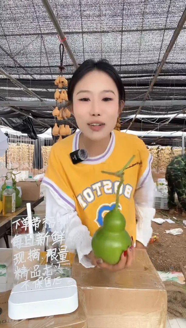 301天然葫芦摆件 一物一拍龙头不保售后