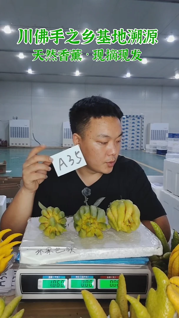 柑橘【一物一拍】川佛手柑鲜果A35