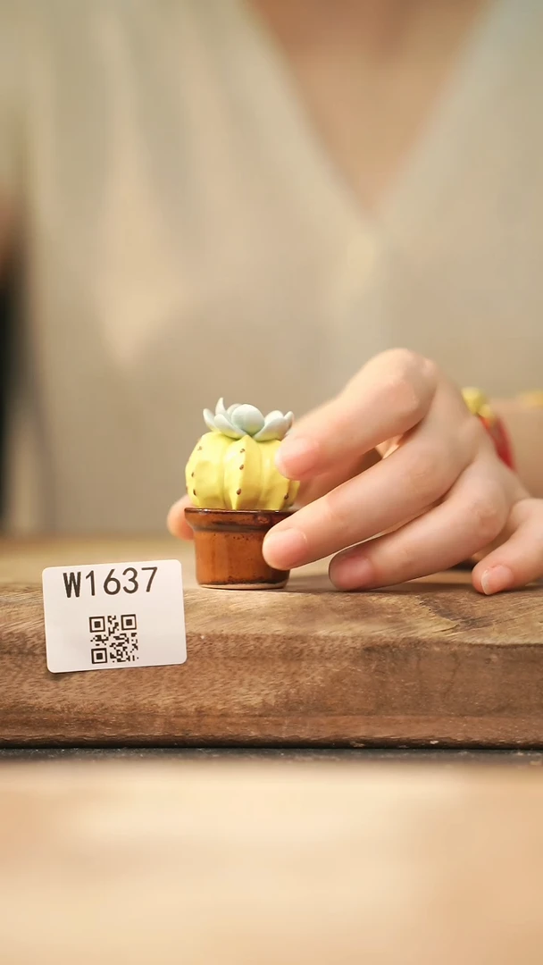 【经典福利】/ 杯子@@W1637