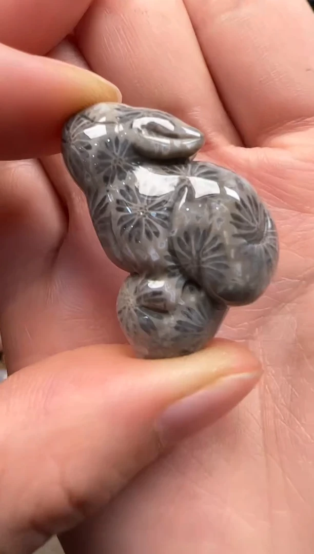 【闪购商品】硅化珊瑚（珊瑚玉）颈饰未镶嵌090