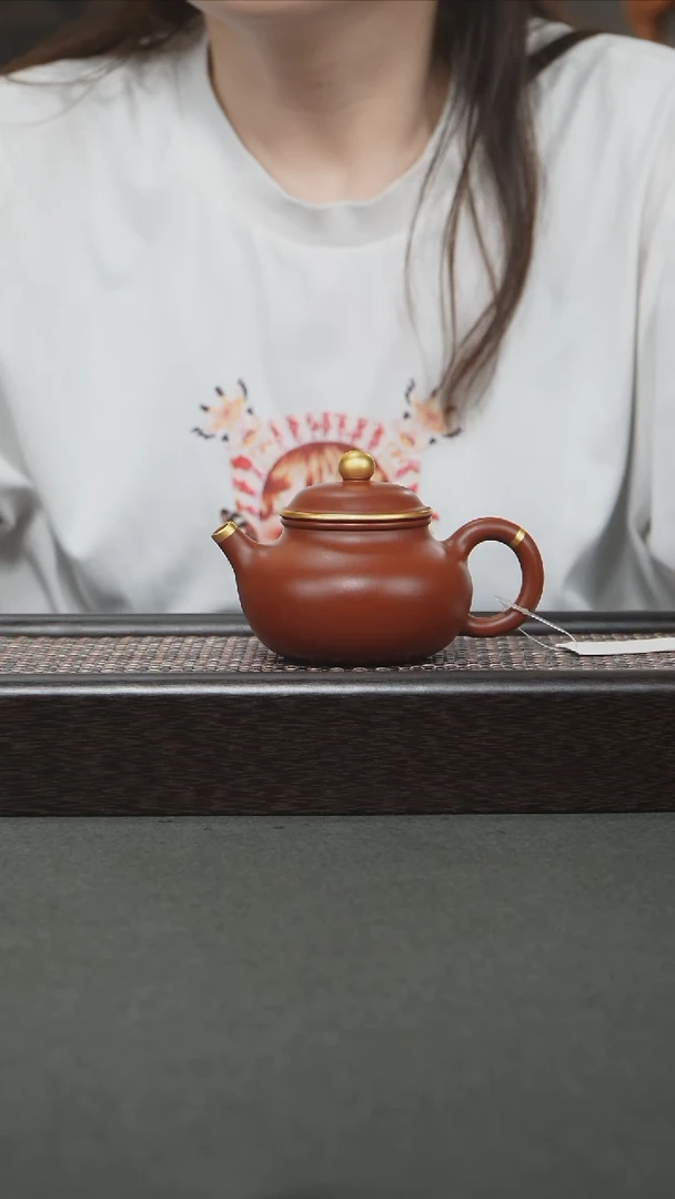 茶壶紫砂宜兴紫砂160cc0869